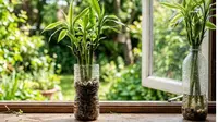 9 Tanaman yang Bisa Hidup Subur di Botol Bekas, Solusi Taman Mini Lahan Sempit