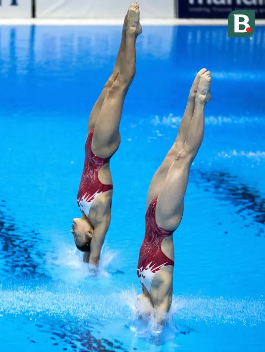 Aksi Zhang Jiaqie dan Zhang Minjie pasangan peloncat indah asal China yang meraih medali emas di nomor papan 10 meter sinkronisasi pada Asian Games 2018 di Stadion Akuatik, Gelora Bung Karno Senayan Jakarta, Selasa (28/8/2018). (Bola.com/Peksi Cahyo)