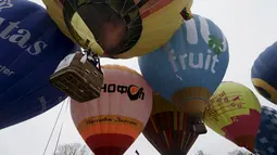 Pasangan pengantin berada di balon udara saat mengikuti Festival Love Cup 2016 di Jekabpils, Latvia (14/2). Sebanyak 50 pasangan pengantin dibagi dalam 27 balon udara terbang bersama mengikat janji cinta mereka. (REUTERS/Ints Kalnins)