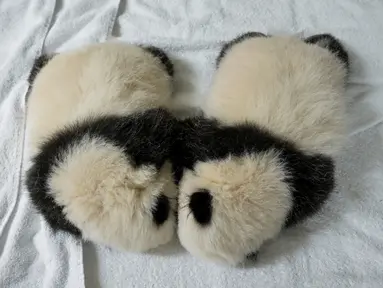 Anak panda kembar bernama Fleur de Coton dan Petite Neige (kanan) tidur di sebuah kotak di Kebun Binatang Beauval, Prancis tengah pada Kamis (30/9/2021). Kedua anak panda itu lahir pada 2 Agustus 2021 lalu dan sekarang beratnya lebih 2800 gram. (SOUVANT GUILLAUME / AFP)