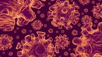 Virus korona dilihat dari mikroskop