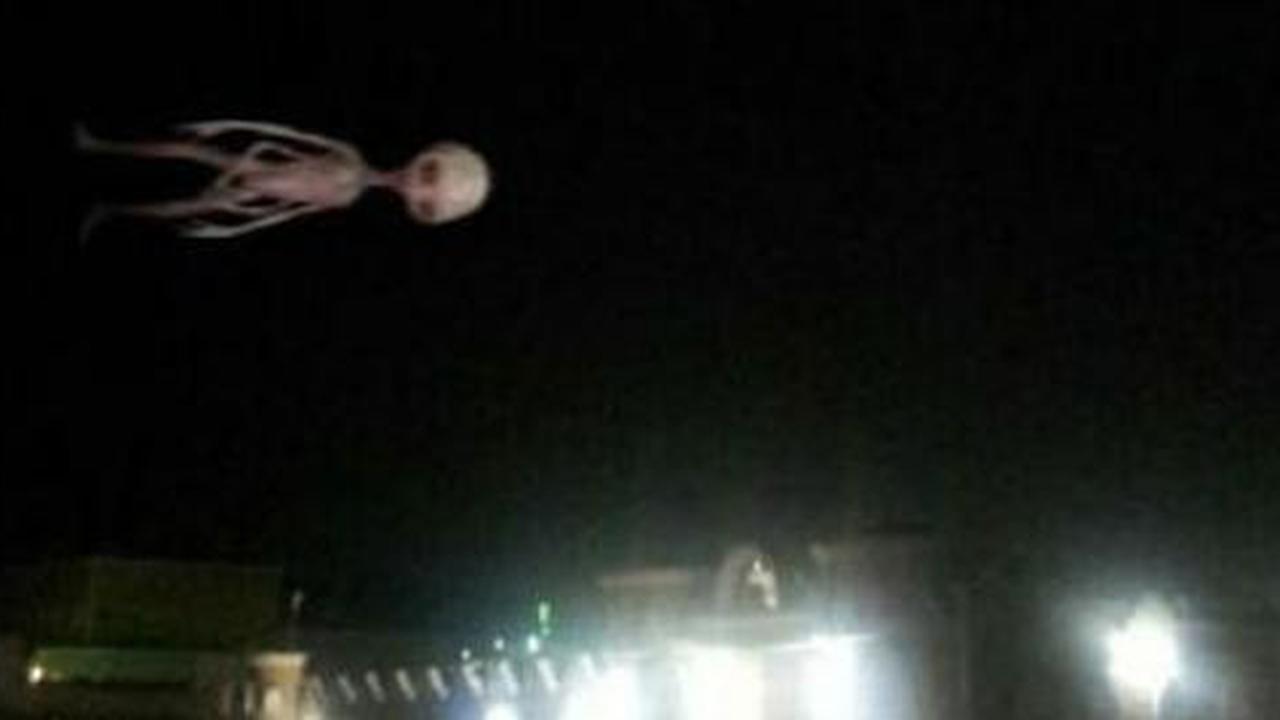Hantu raksasa tertangkap kamera pelajar Saudi