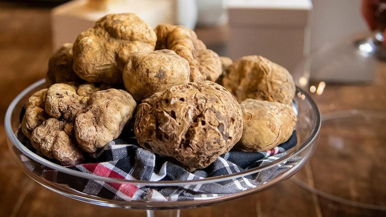 White Truffle