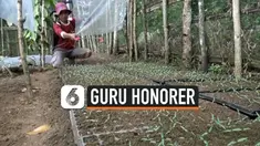 thumbnail potret guru honorer