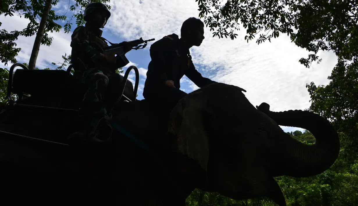 Anggota polisi militer bersama seorang pawang gajah (mahout) melakukan patroli keliling hutan dibantu gajah jinak di kawasan hutan Ulue Masen, provinsi Aceh, Sabtu (27/4/2019). Patroli keliling tersebut guna menjaga kelestarian alam dan satwa liar dari ancaman kepunahan. (CHAIDEER MAHYUDDIN/AFP)