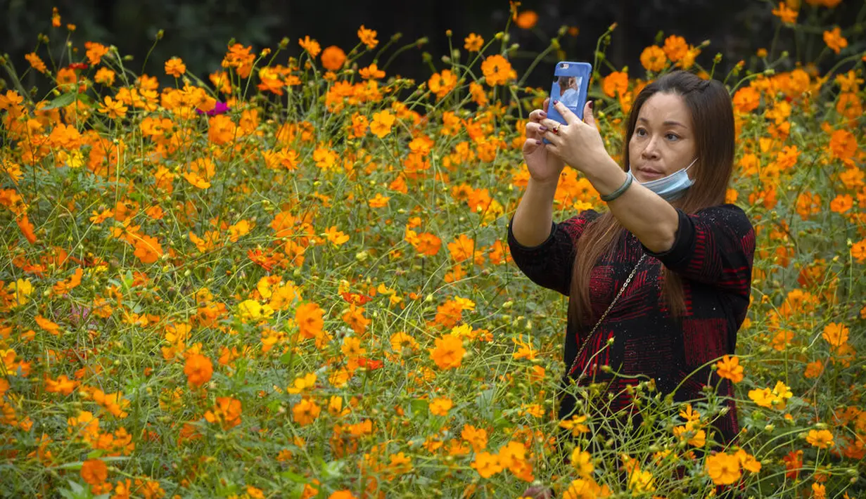 Seorang wanita berfoto selfie di tengah bunga-bunga yang bermekaran di taman umum di Beijing, Sabtu (2/10/2021). Pengunjung memadati taman dan lokasi wisata di Beijing saat China merayakan hari kedua masa libur Hari Nasional. (AP Photo/Mark Schiefelbein)