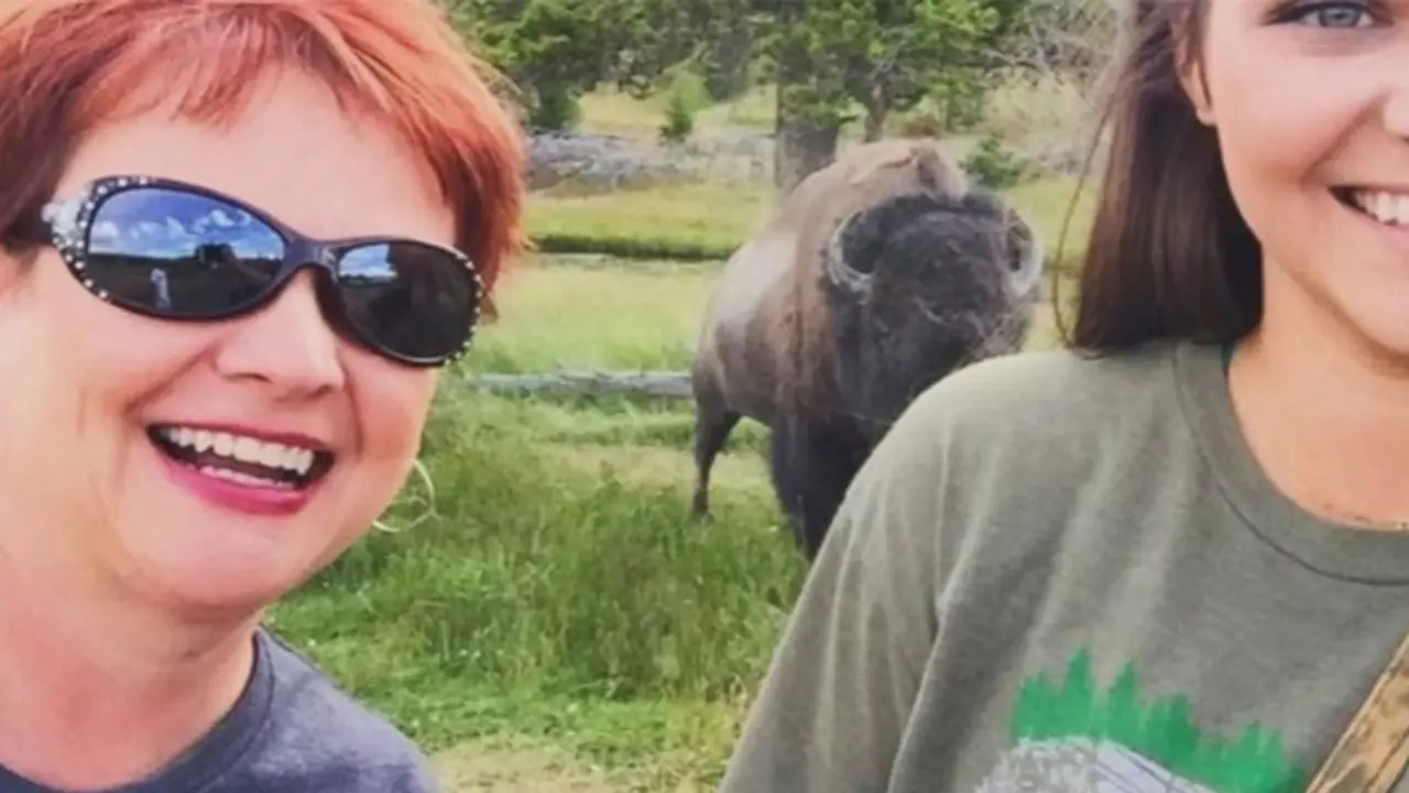 Lagi Asyik Selfie, Wanita Ini Malah Diseruduk Bison