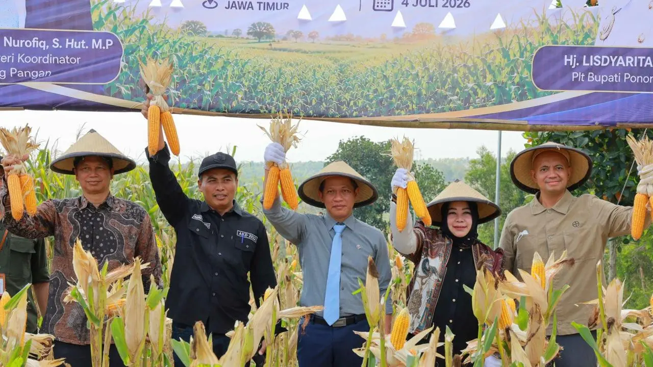 Wakil Menteri Koordinator Bidang Pangan, Hanif Faisol Nurofiq menghadiri langsung panen raya jagung yang digelar Bayer Indonesia bersama Kementerian Koordinator Bidang Pangan di Desa Pijeran, Kecamatan Siman, Ponorogo, Jawa Timur (Istimewa)