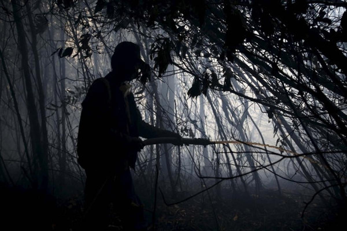 Kisah heroik warga Sumsel bantu padamkan kebakaran hutan