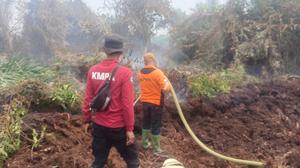 Taman Nasional Sembilang Terbakar, Petugas Berjibaku Padamkan Api