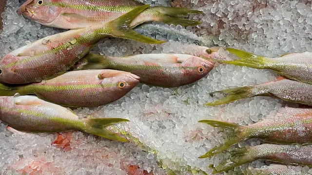 kuliner di Saint Barthelemy sangat melimpah hasil ikan