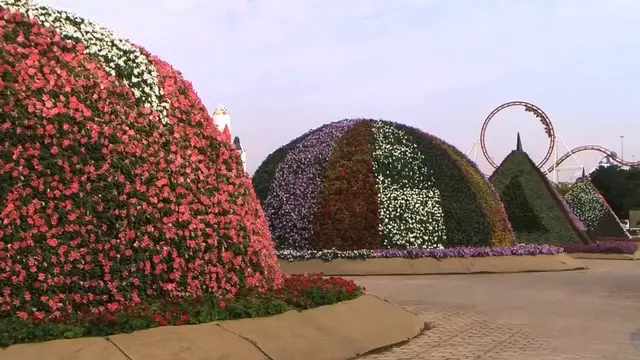 The Dubai Miracle Garden adalah tempat yang wajib Anda kunjungi.Pasalnya taman di tengah gurun pasir ini menawarkan 45 juta warna bunga yg sangat menakjubkan Tidak tanggung-tanggung semua bunga diimpor langsung dari berbagai macam belahan dunia