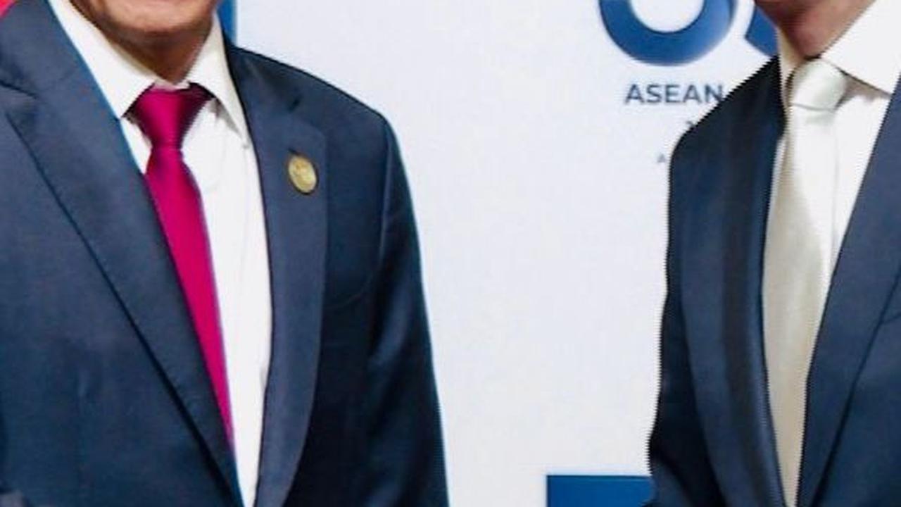 Bertemu PM Anthony Albanese, Jokowi Kembali Undang Sektor Swasta Australia Bangun IKN