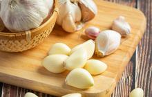 Cara Membuat Rebusan Bawang Putih Jahe untuk Hipertensi dan Kolesterol