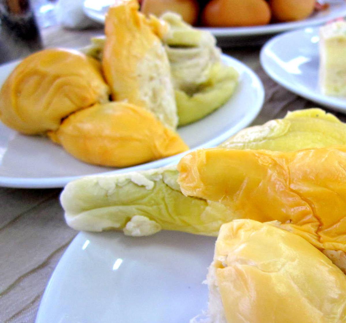 ilustrasi durian