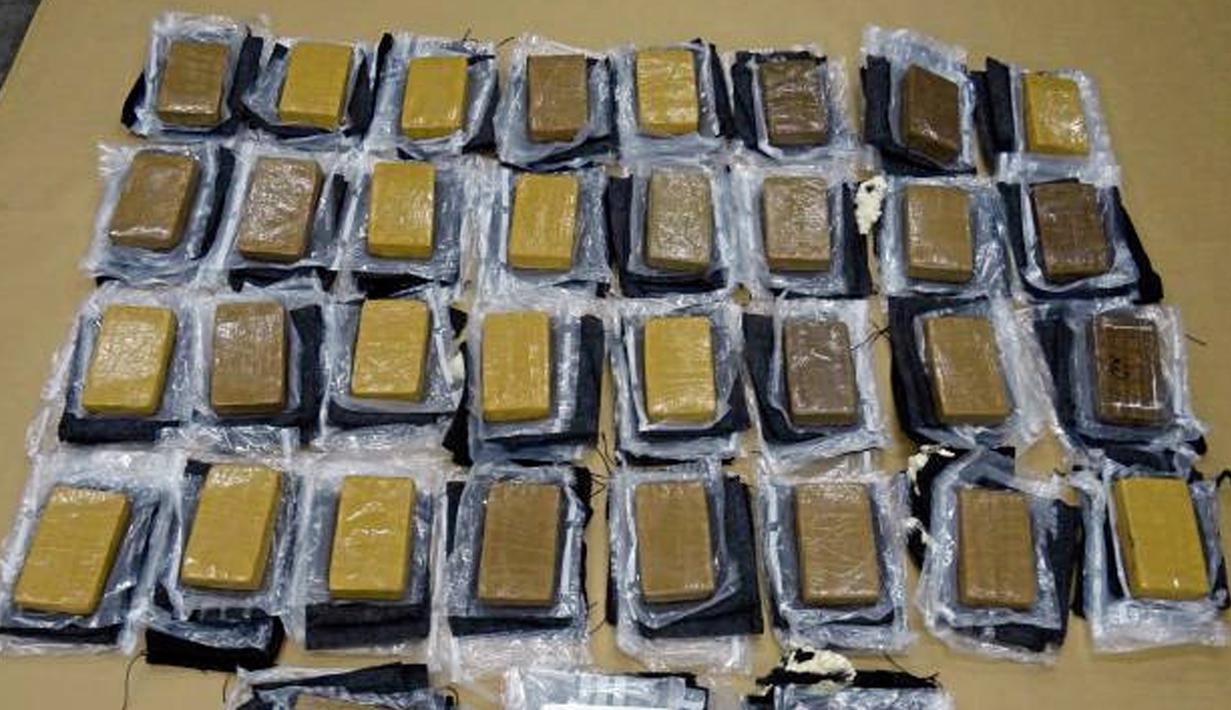 Sejumlah kokain yang ditemukan didalam patung kuda saat akan dikirim dari Meksiko ke Auckland, Selandia Baru Mei lalu. Didalam patung dengan tinggi 1 meter ini ditemukan 35 kg Kokain dengan kisaran harga 131 miliar. (REUTERS/New Zealand Police)