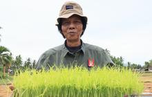Gubernur Sumbar Harap Alumni IPB Jadi Motor Penggerak Pertanian, 57% Warga Ranah Minang Bertani!