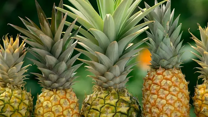 (c) Shutterstock.com