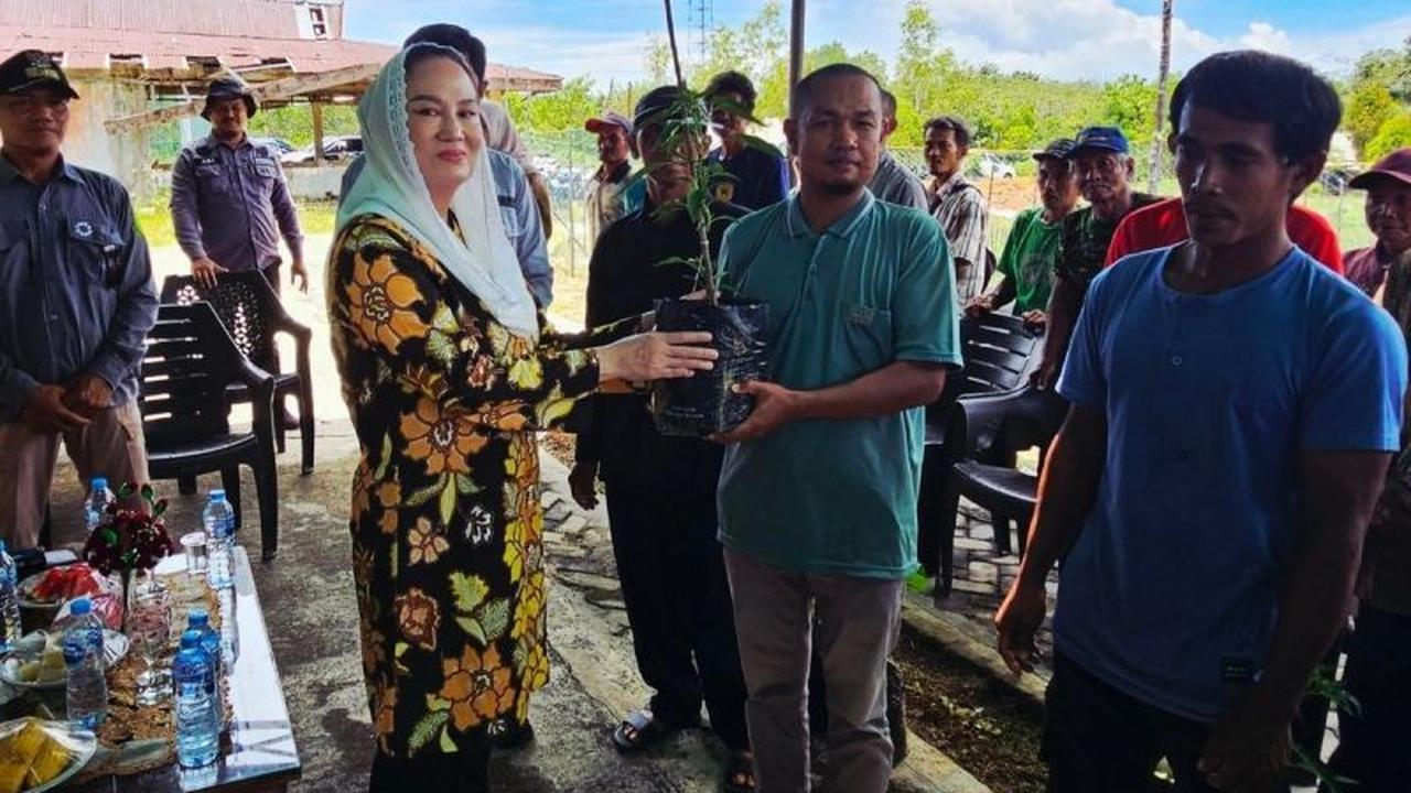 Fakta 6.750 Bibit Cabai Natuna Disebar ke Petani, Tekan Inflasi dan Dukung P2B