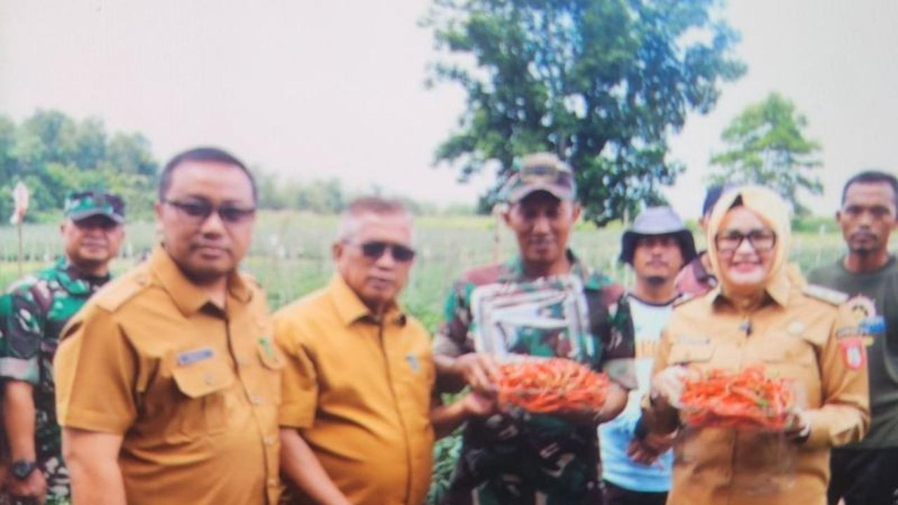 Pemkab Banyuasin dan Kodim Bersinergi dalam Pengembangan Perkebunan Cabai Banyuasin untuk Ketahanan Pangan