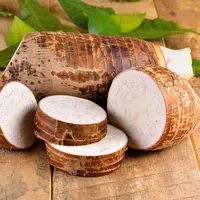 ilustrasi talas/copyright Shutterstock