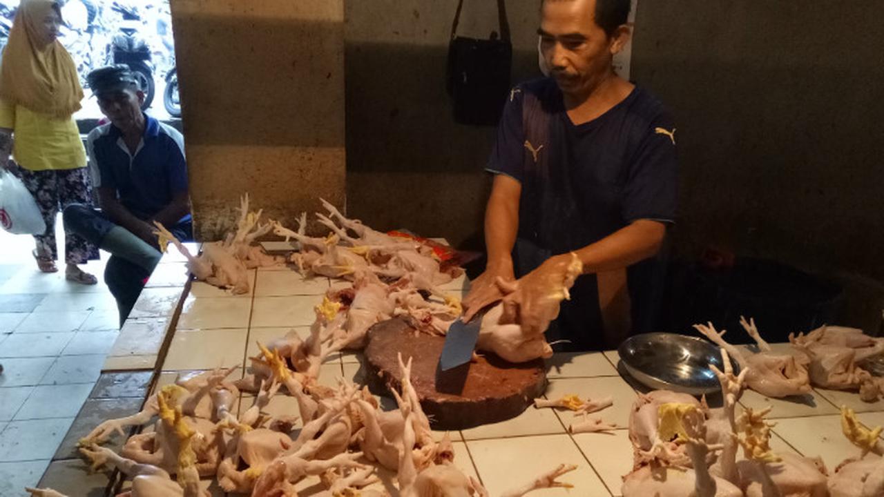 Pedagang Ayam