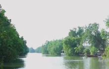 Dikenal sebagai Amazonnya Indramayu, Begini Serunya Mengarungi Sungai Kedung Cowet Pakai Perahu