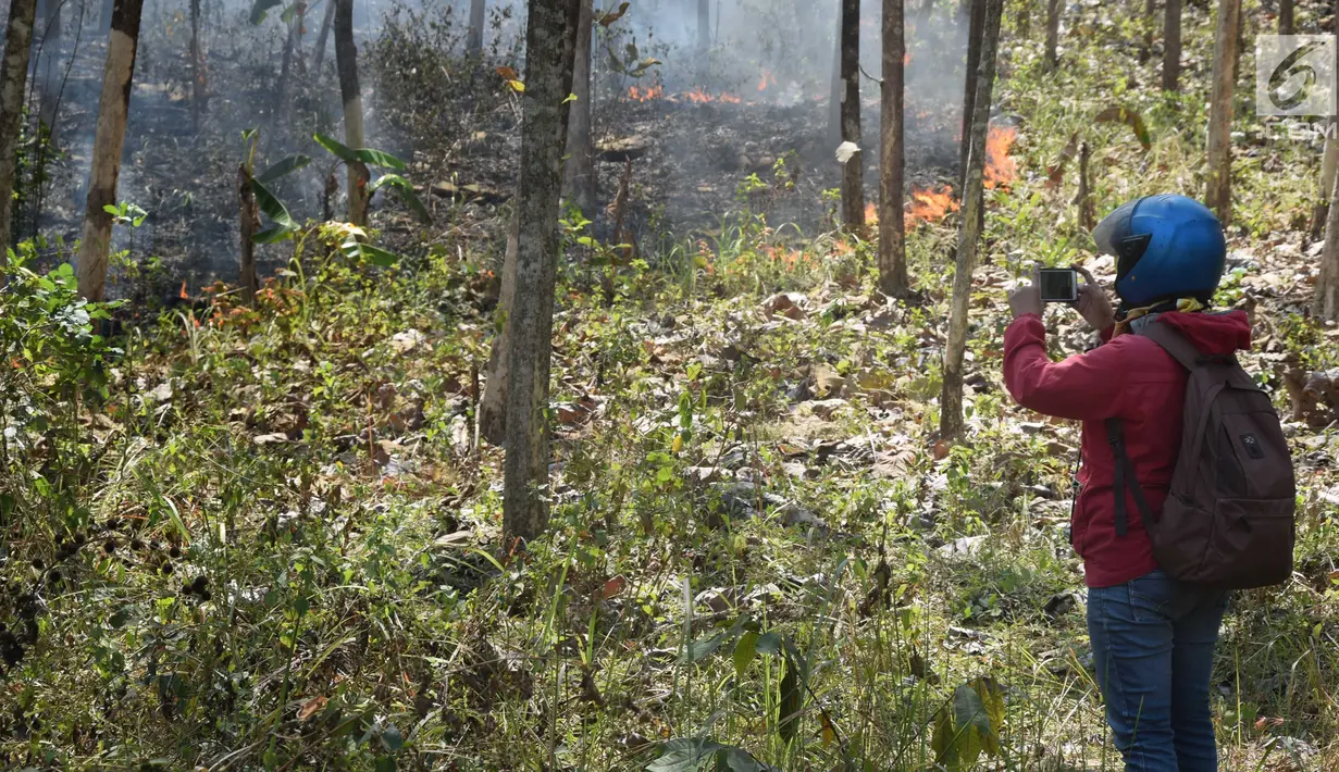 Warga mengabadikan gambar saat api membakar hutan jati di Kecamatan Juwangi Boyolali, Jawa Tengah, Senin (6/8). (Liputan6.com/Gholib)