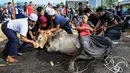 Pengungsi Rohingya yang tinggal di Malaysia mengontrol seekor sapi sebelum menyembelihnya saat Idul Adha di Kuala Lumpur, Malaysia, 10 Juli 2022. Umat muslim seluruh dunia merayakan Idul Adha atau Hari Raya Kurban untuk memperingati kesediaan Nabi Ibrahim mengorbankan putranya. (Mohd RASFAN/AFP)