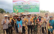 Polres dan Pemkab Jayapura Panen Jagung Serentak, Perkuat Ketahanan Pangan Jayapura dan Stabilitas Daerah