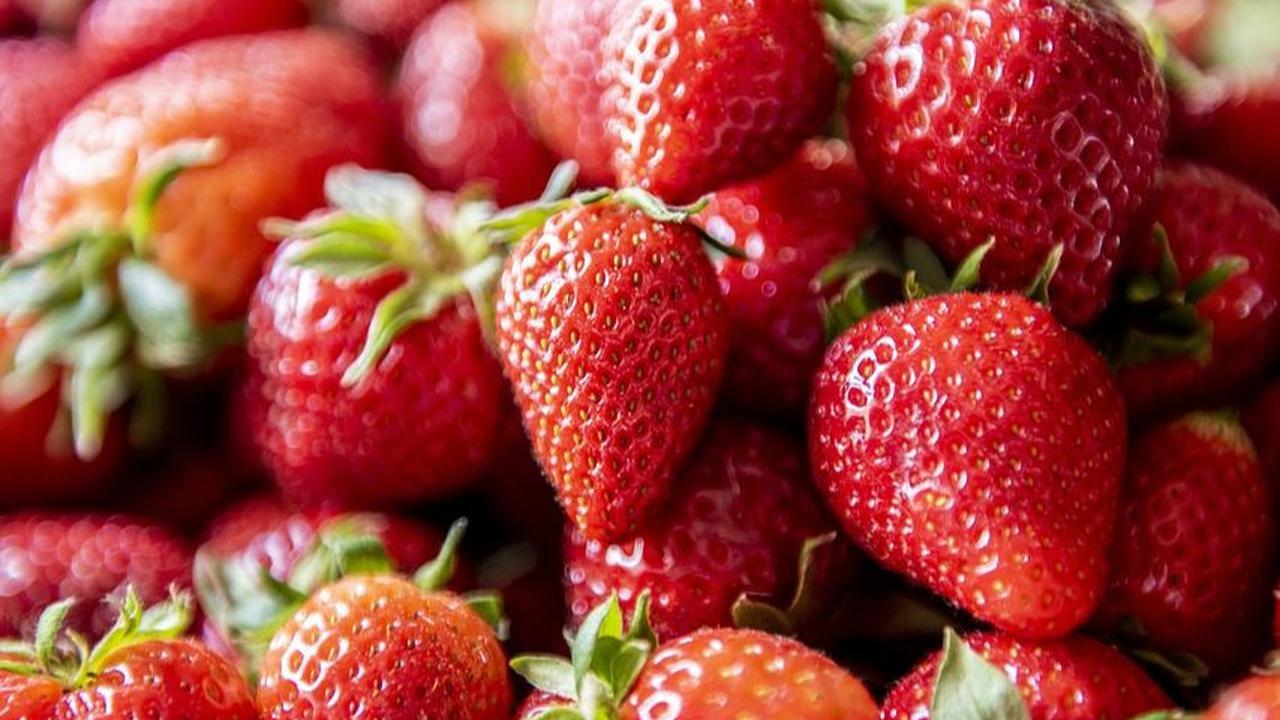 Pentingnya Konsumsi Buah