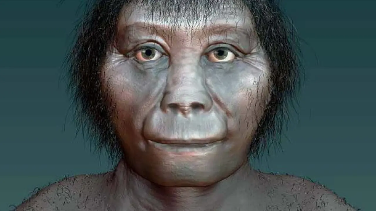 Homo floriensis