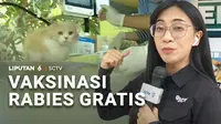 Warga Jakarta, sudah tahu belum, ada layanan keliling vaksinasi rabies gratis di sejumlah titik di Jakarta.