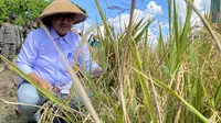 Akan Diluncurkan Mei, Pemkot Yogyakarta Terus Perkuat Program Food Bank