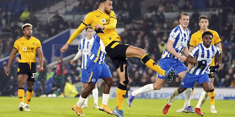 Brighton Vs Wolverhampton Wolves Liga Inggris