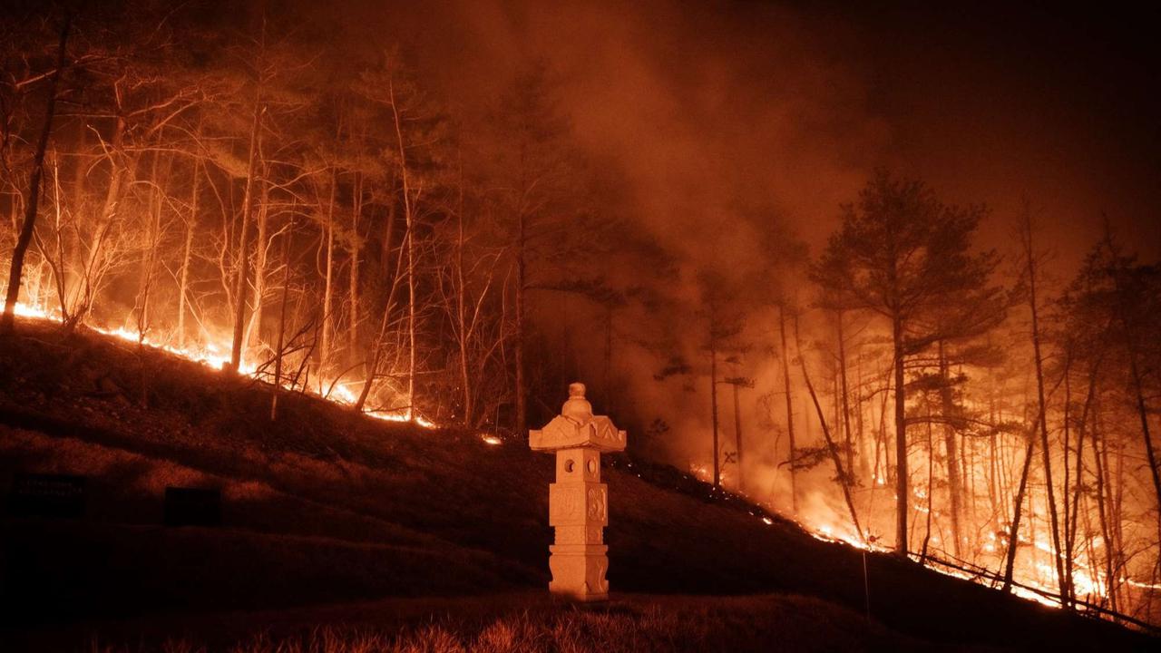 Kebakaran hutan Korea Selatan semakin ganas