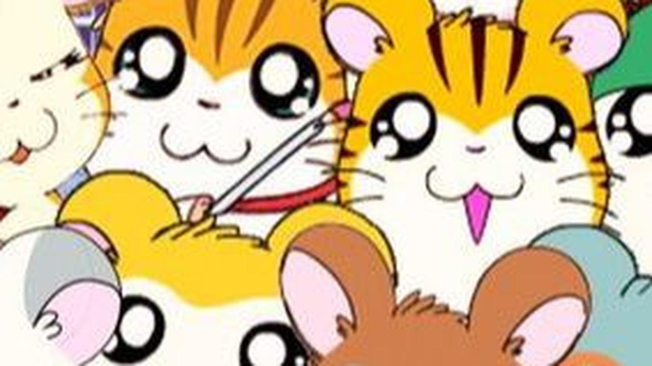 3. Hamtaro