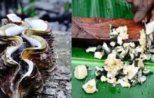 Mengunjungi Kaimana Papua Barat, Kota Senja Terindah yang Punya Kerang Lezat Mirip Sashimi