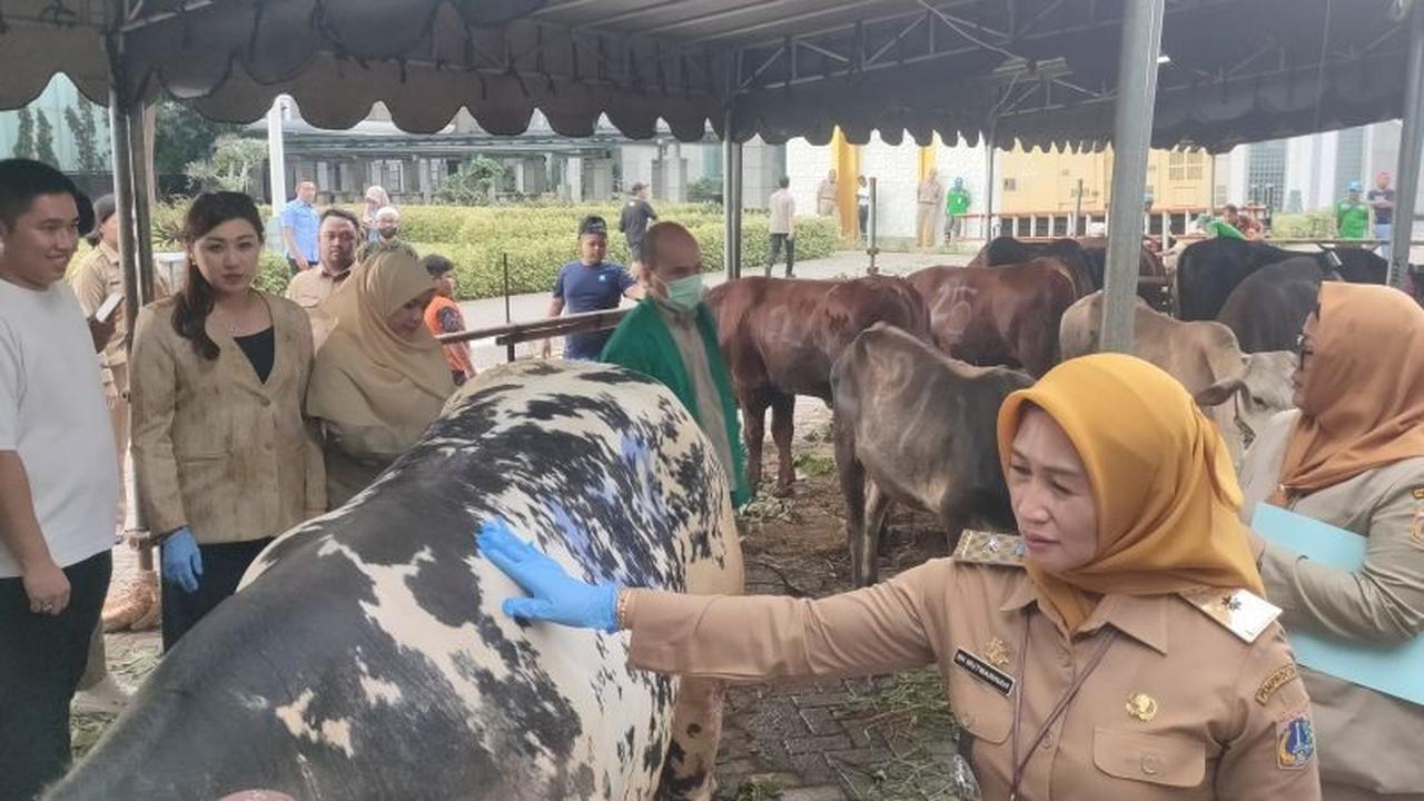 Pemkot Jakbar Siapkan 55 Hewan Kurban Idul Adha, Kesehatan Terjamin