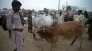 Pedagang ternak berkumpul dengan ternak mereka saat mereka menunggu pelanggan di pasar menjelang hari raya Idul Adha di Peshawar, Pakistan (13/7/2021). Jelang Idul Adha, Pasar ternak di Peshawar, Pakistan mulai sibuk menjual hewan kurban. (AFP/Abdul Majeed)
