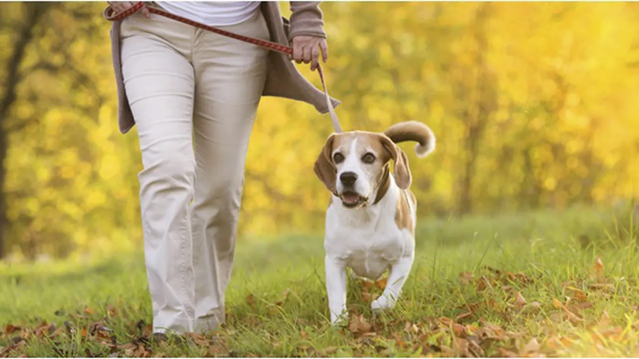 Foto: copyright thinkstockphotos.com