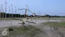 Sejumlah pohon pinang telah didirikan di Pantai Karnaval Ancol, Jakarta, Jumat (12/8).Taman Impian Ancol menyiapkan lomba panjat pinang kolosal dengan total pohon pinang mencapai 171 pohon. (Liputan6.com/Herman Zakharia)