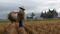 Ide Media Tanam dari Jerami Kering untuk Kebun Ala Pedesaan yang Praktis dan Berkelanjutan