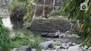 Kondisi Sungai Ciliwung yang menyusut airnya di kawasan Pulo Geulis Kota Bogor, Jawa Barat, Kamis (12/10/2023). (Liputan6.com/Herman Zakharia)
