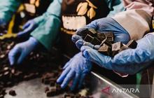 Win & Co Bidik Pasar Global dengan Produk Turunan Kakao: Manfaatkan Posisi Indonesia sebagai Produsen Utama Dunia