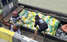 Fakta Unik Distribusi 10 Ton Beras Setiap Hari: Bulog Pastikan Beras SPHP Jangkau Pulau Terpencil di Kepulauan Riau