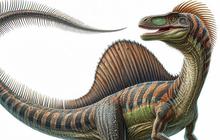 Spesies Dinosaurus Baru yang Lebih Besar dari T-Rex Ditemukan di Spanyol