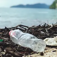 Sampah Botol Plastik | pexels.com/@catherinesheila