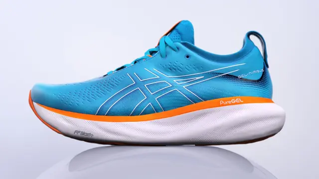 ASICS GEL NIMBUS 25.