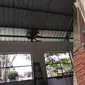 Kelakuan nyeleneh tukang bangunan saat melindungi diri. (Twitter/AndyTopan/bapanabarudak_)